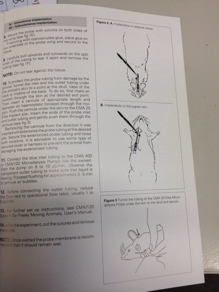 Useful information regarding rat experimentation. Not for me...