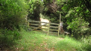 The Gate